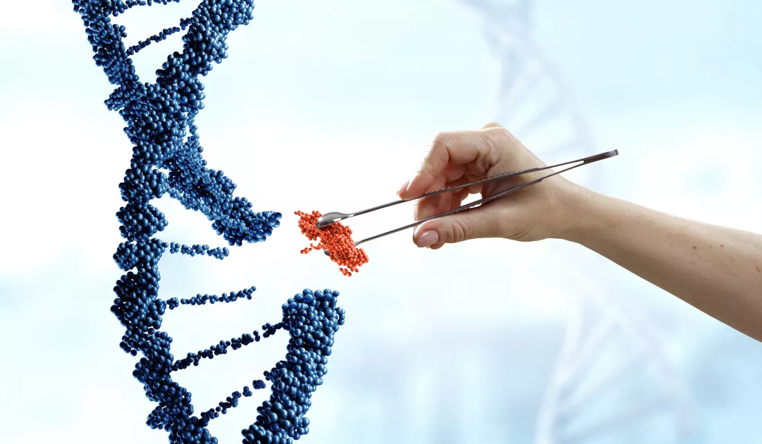 Biologia molekularna i eksperymentalnav
