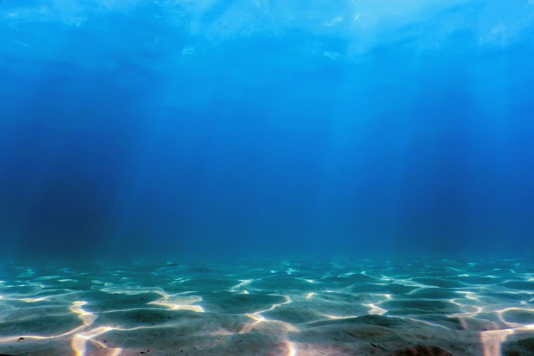 Oceanografia studies